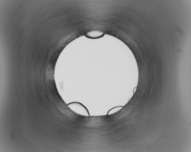 X0000112860384200910021317