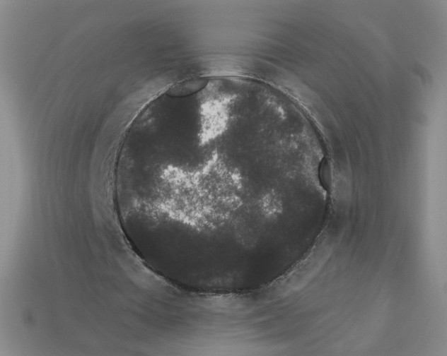 X0000112860385200910021316