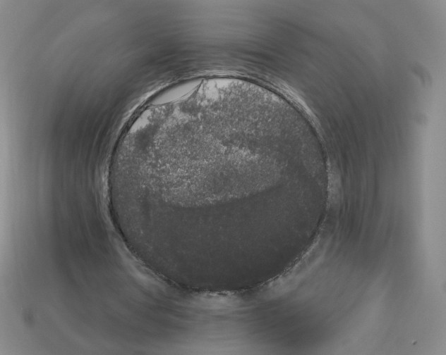 X0000112860386200910021316