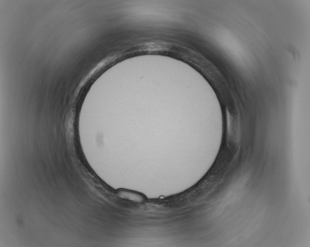 X0000112860387200910021316