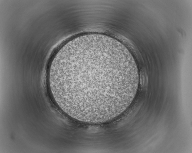 X0000112860388200910021316