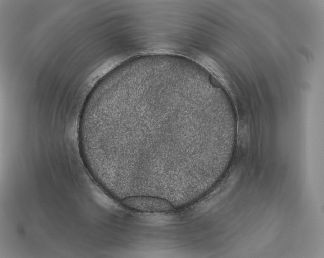 X0000112860389200910021316