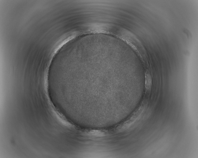 X0000112860390200910021316