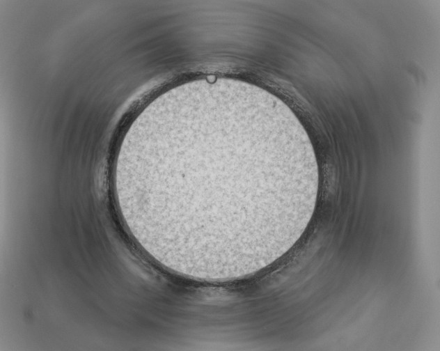 X0000112860392200910021316