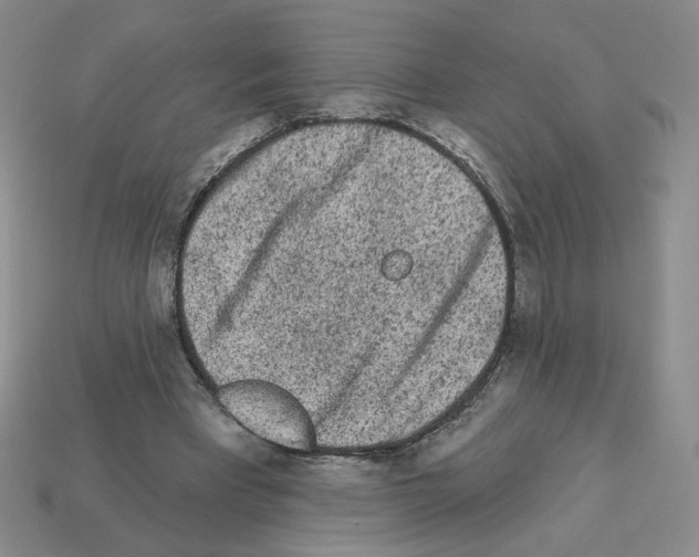 X0000112860393200910021316