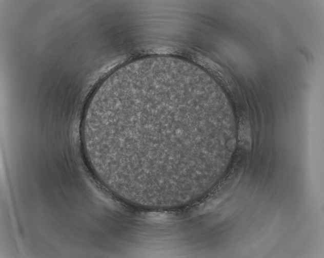 X0000112860394200910021316