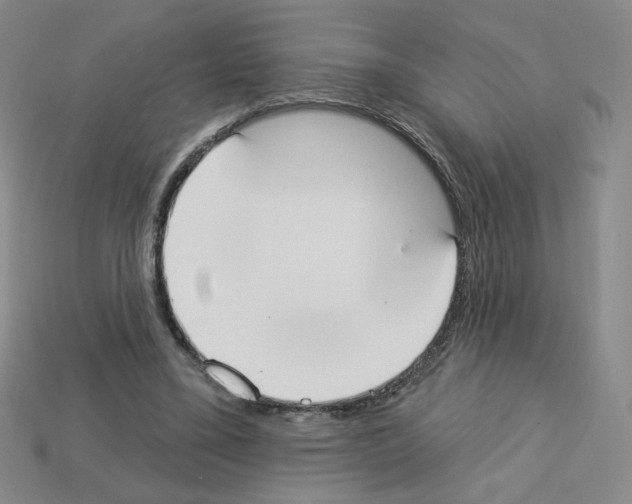 X0000112860395200910021316
