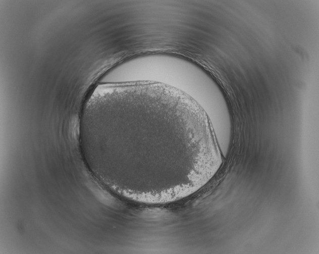 X0000112860397200910021316