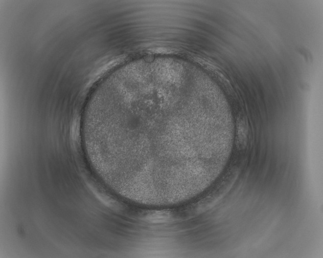 X0000112860398200910021316