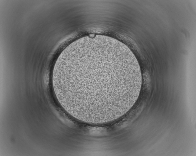 X0000112860400200910021316
