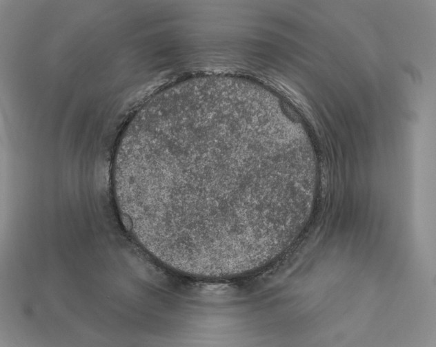 X0000112860401200910021316