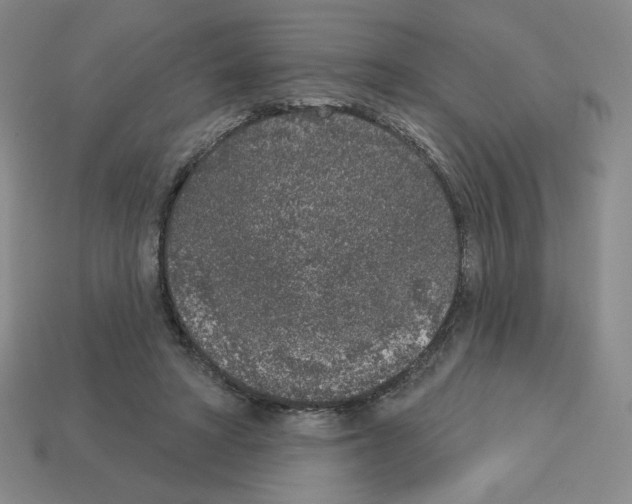 X0000112860402200910021316