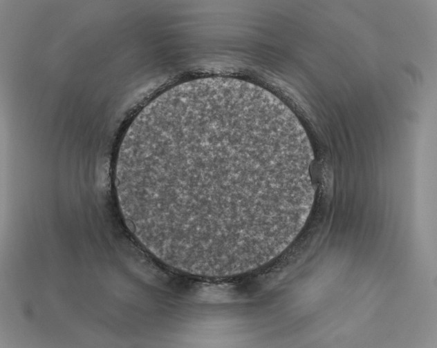 X0000112860403200910021316