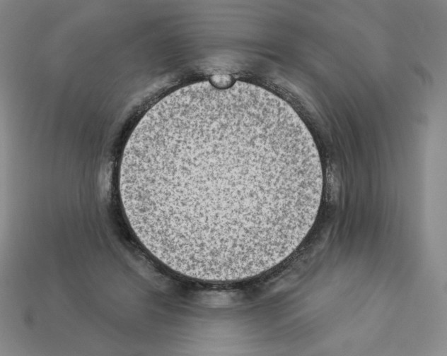 X0000112860404200910021316