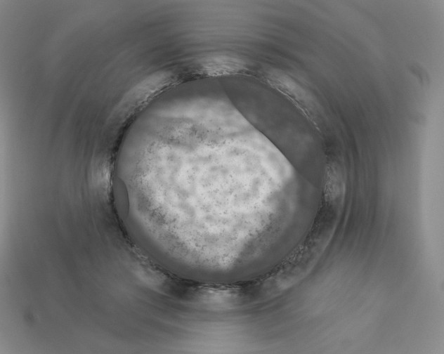 X0000112860405200910021316