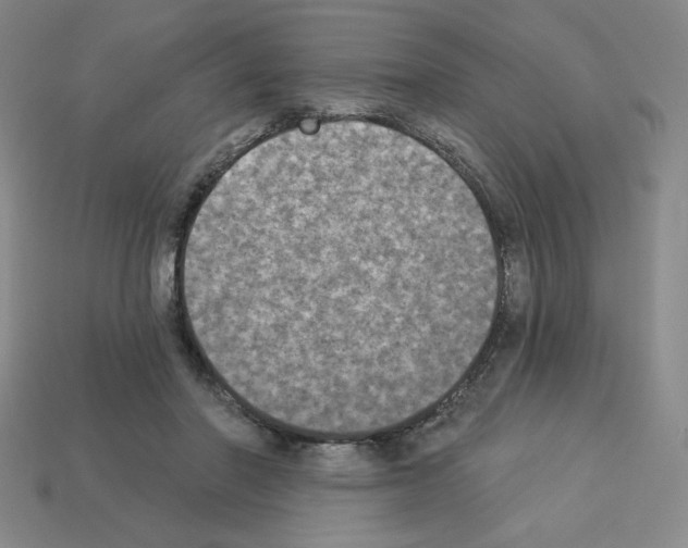 X0000112860406200910021316