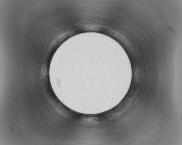 X0000112860407200910021316
