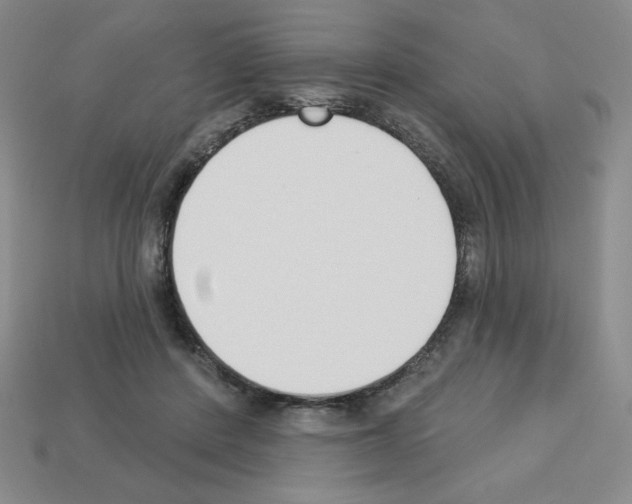X0000112860408200910021316