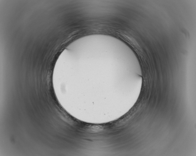 X0000112860409200910021316