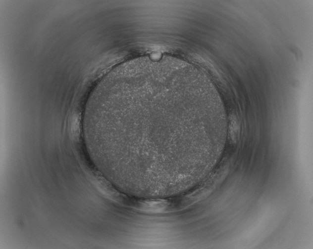 X0000112860410200910021316