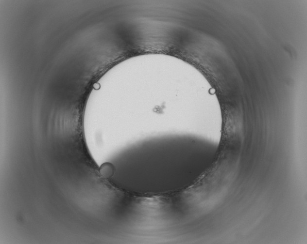X0000112860411200910021316