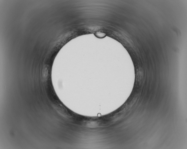 X0000112860412200910021316