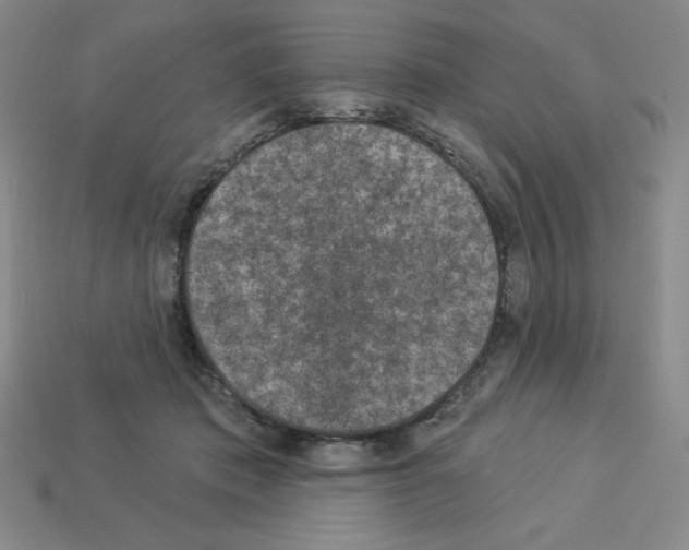 X0000112860413200910021316