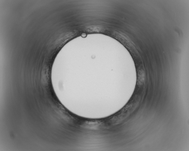 X0000112860414200910021316