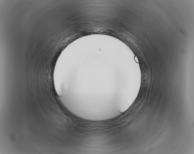 X0000112860415200910021316