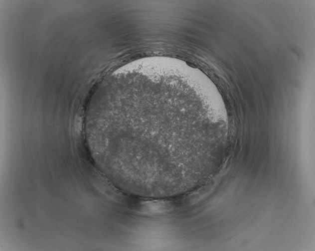 X0000112860417200910021316