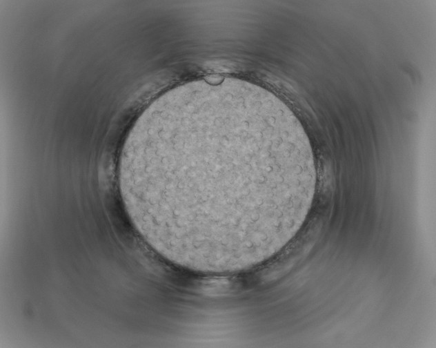 X0000112860418200910021316