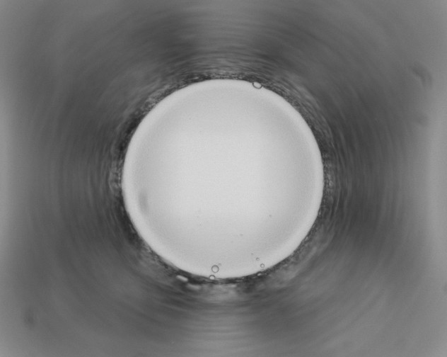X0000112860419200910021316