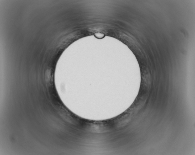 X0000112860420200910021316