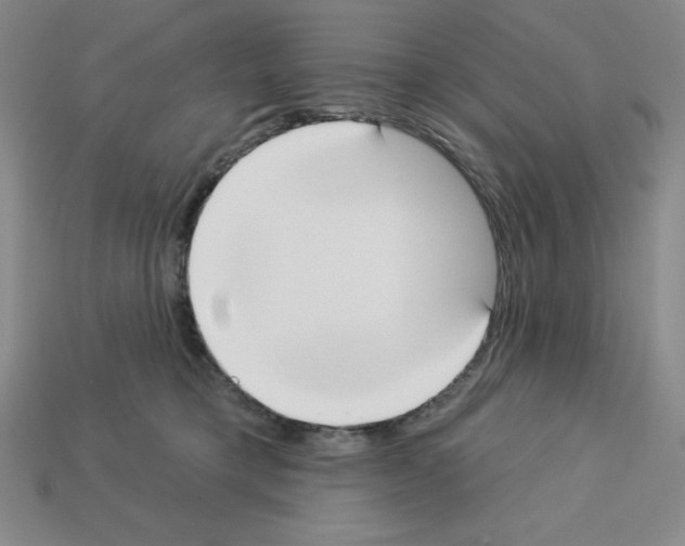 X0000112860421200910021316