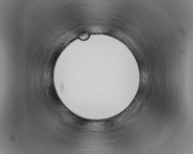X0000112860422200910021316