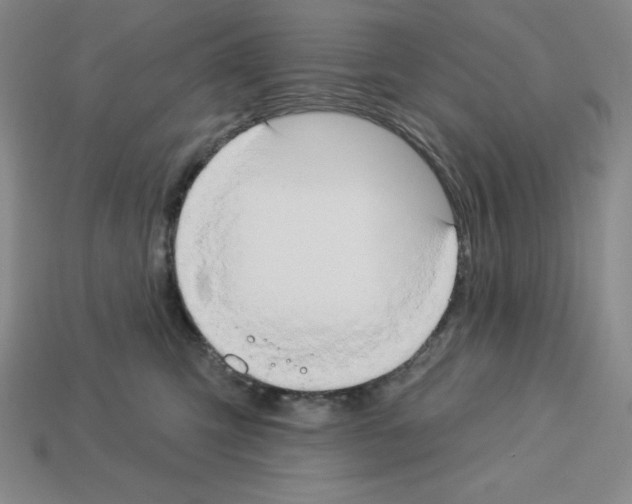 X0000112860423200910021316