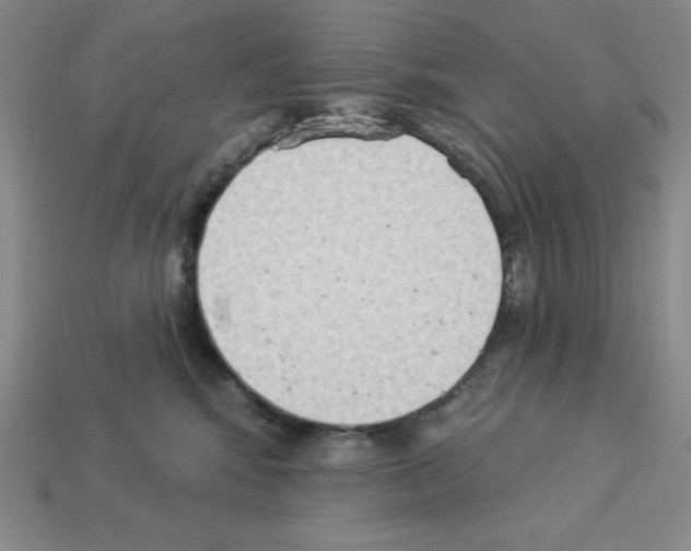 X0000112860424200910021316