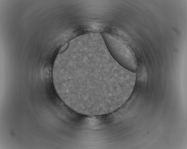 X0000112860425200910021316