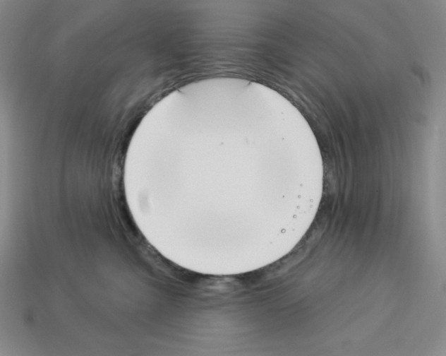 X0000112860427200910021315