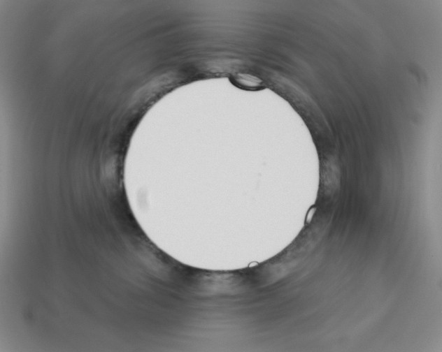 X0000112860428200910021315