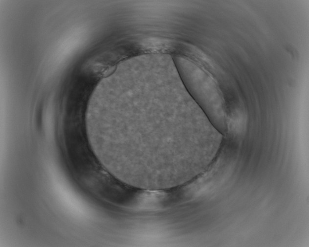 X0000112860429200910021315