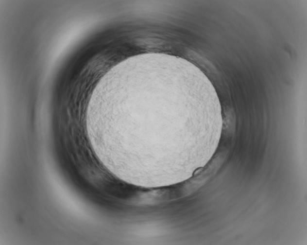 X0000112860430200910021315
