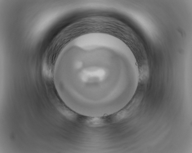 X0000112860431200910021315