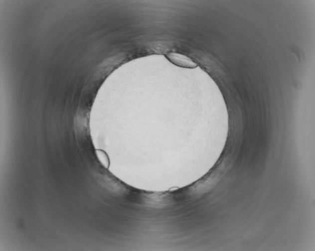 X0000112860432200910021315