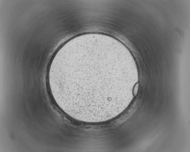 X0000112860434200910021315