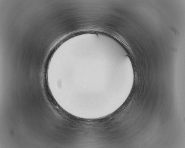 X0000112860436200910021315
