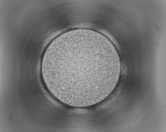 X0000112860437200910021315