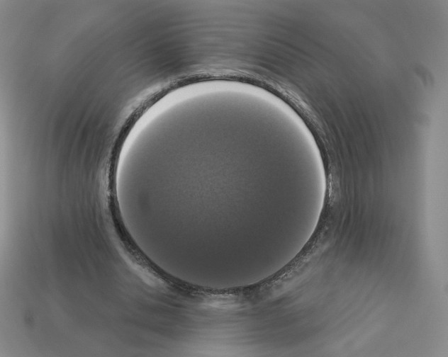 X0000112860438200910021315