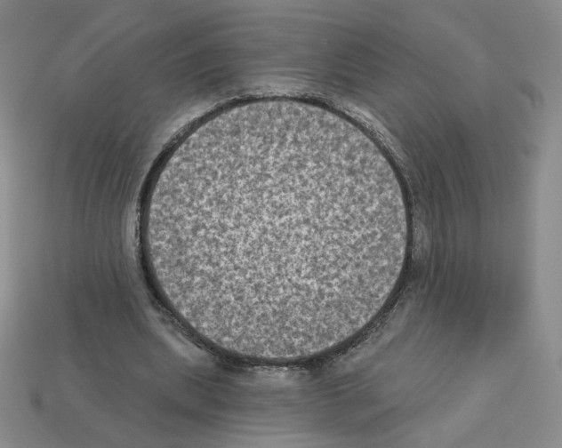 X0000112860439200910021315