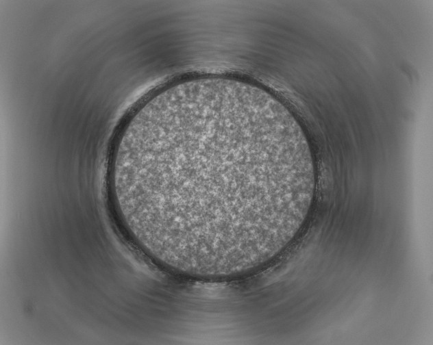 X0000112860440200910021315